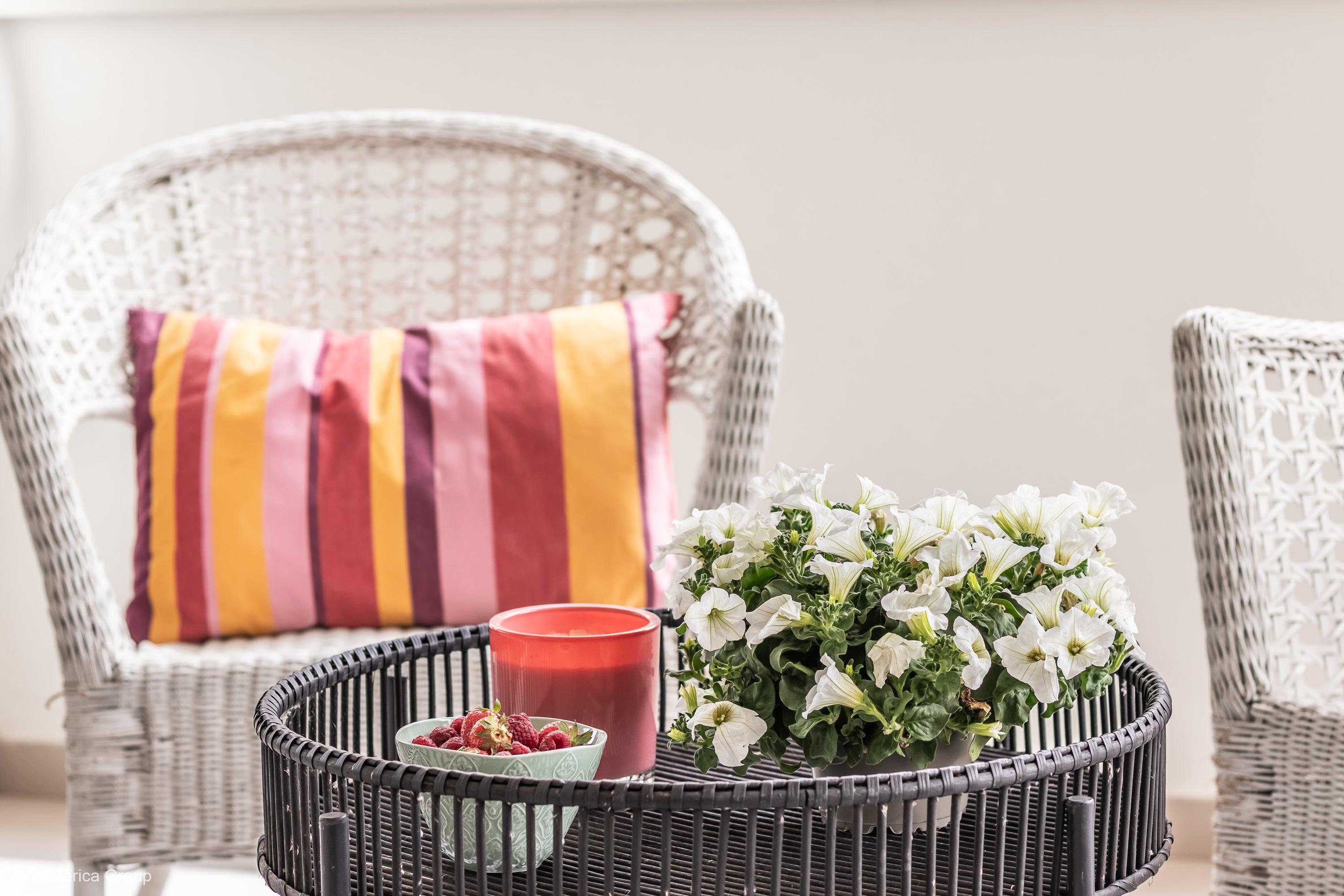 TIPOLOGIA E | Bilocale | 62mq